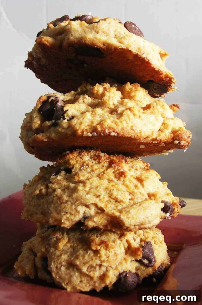 Chocolate Chip Drop Scones — Delicious Breakfast Cookie Recipe 4 featured 1281
