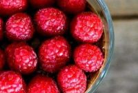 3-Minute Chocolate Raspberry Pudding — Vegan, Dairy-Free & Sugar-Free