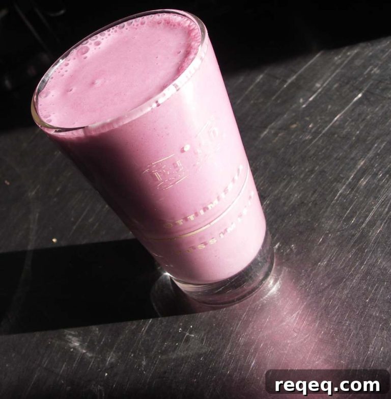 Purple Cow Smoothie Recipes: Creamy Blueberry-Vanilla Blends 12 featured 1426