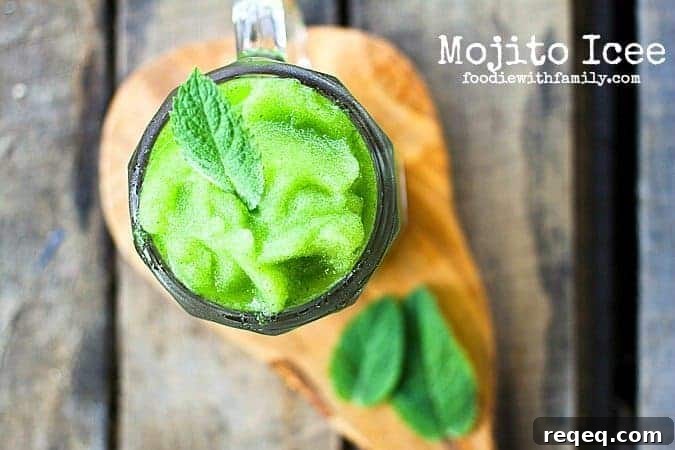 Mojito Icee: Boozy and Virgin Recipes for a Refreshing Chill 8 featured 14474