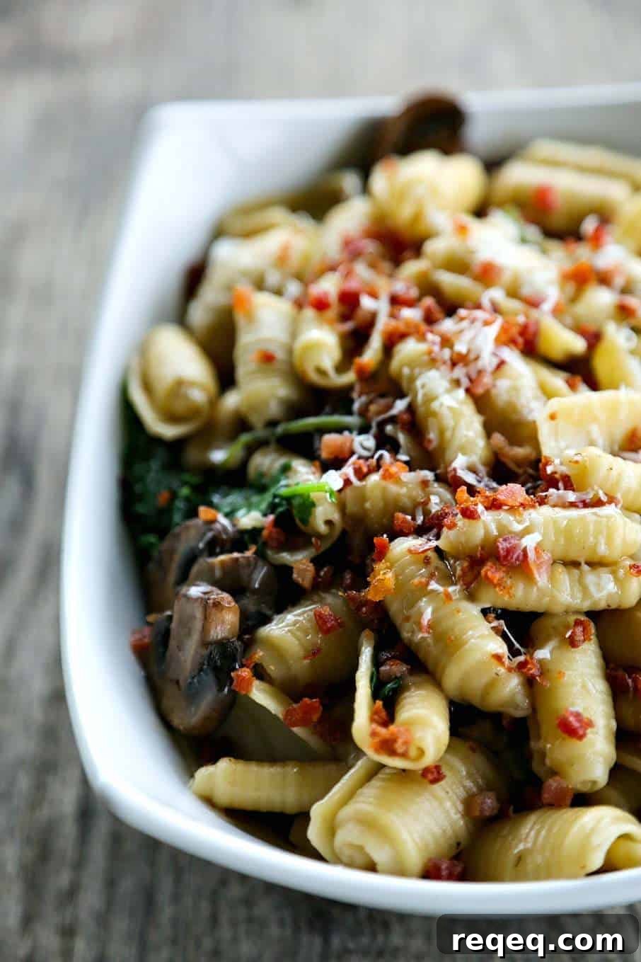 featured 17364