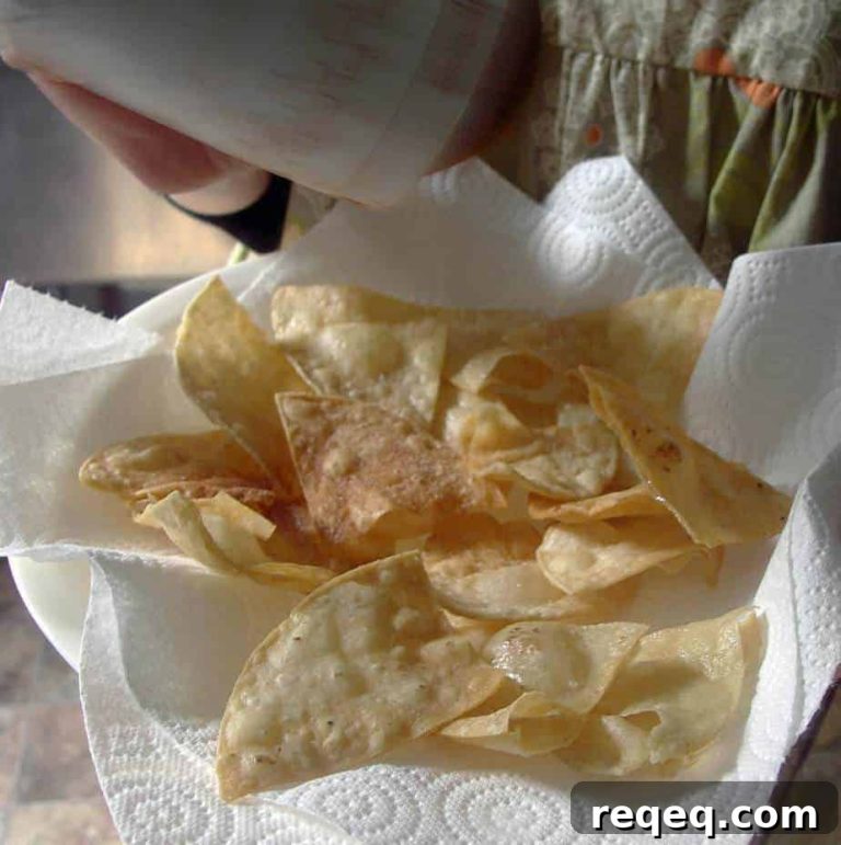 Homemade Tortilla Chips: Classic Baked and Crispy Fried Recipes 12 featured 1769