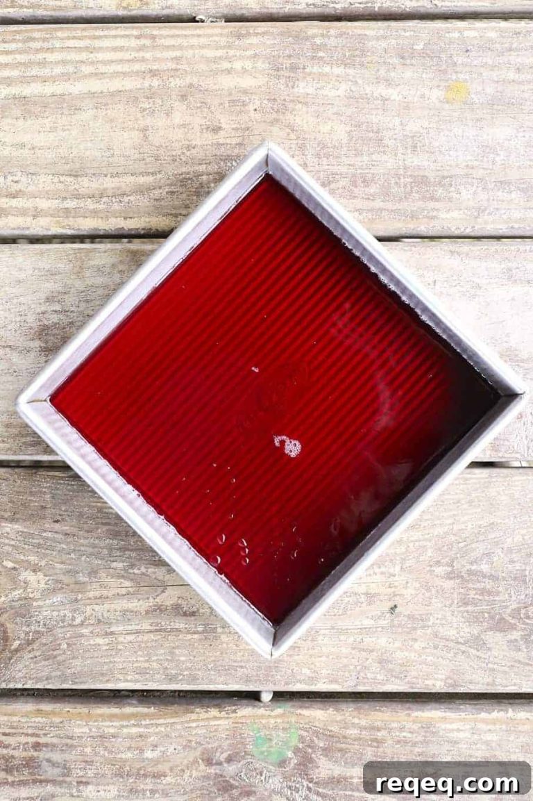Cranberry Ginger Gelatin Fingers: Festive Holiday Dessert Recipe 15 featured 18733