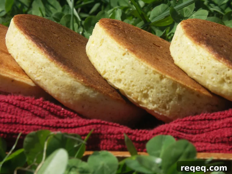 Crispy Golden Cornbread Rounds with Honey Butter 13 featured 212
