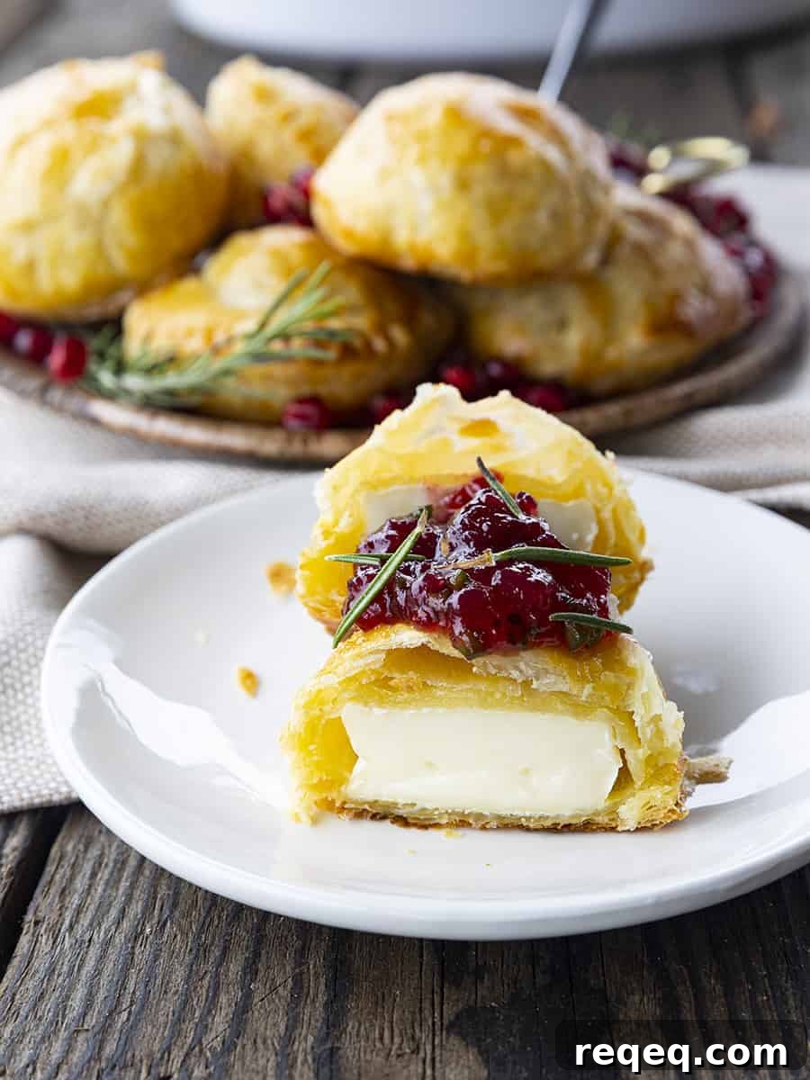 featured 31666