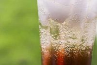 Chilled Two-Wine Spritzer Recipe: Refreshing Two-Wine Cocktail