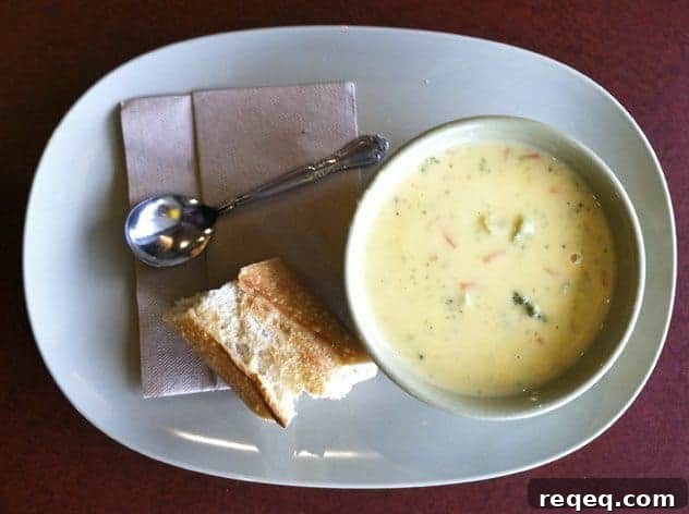 Panera Broccoli Cheddar Soup img 10147 2