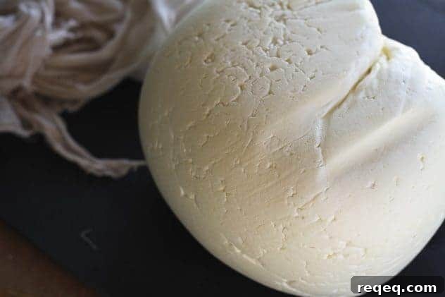 Make-Ahead Homemade Feta: Simple Recipe for Fresh, Tangy Cheese 3 homemade feta 7