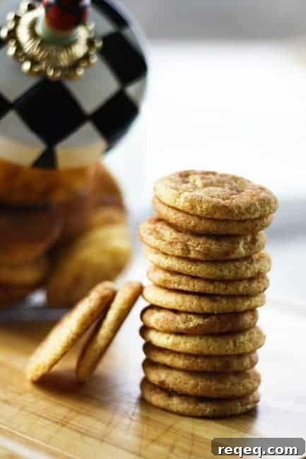 Grandmas Snickerdoodles from Foodie with Family