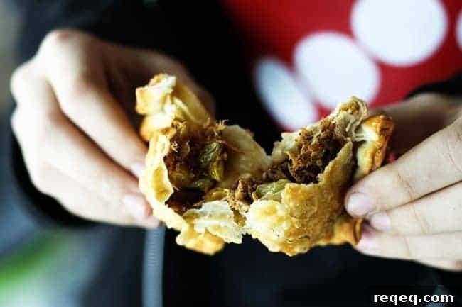 Spicy-Sweet Pulled Pork Empanadas Recipe 4 Sweet and Spicy Pulled Pork Empanadas | www.foodiewithfamily.com