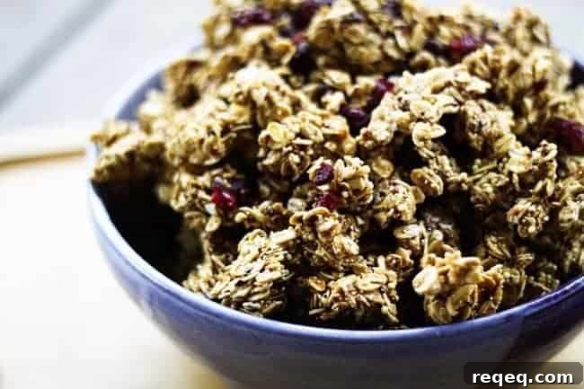 Make-Ahead Cranberry Dark Chocolate Ancient-Grain Granola 3 Ancient Grains Cranberry Dark Chocolate Granola | www.foodiewithfamily.com