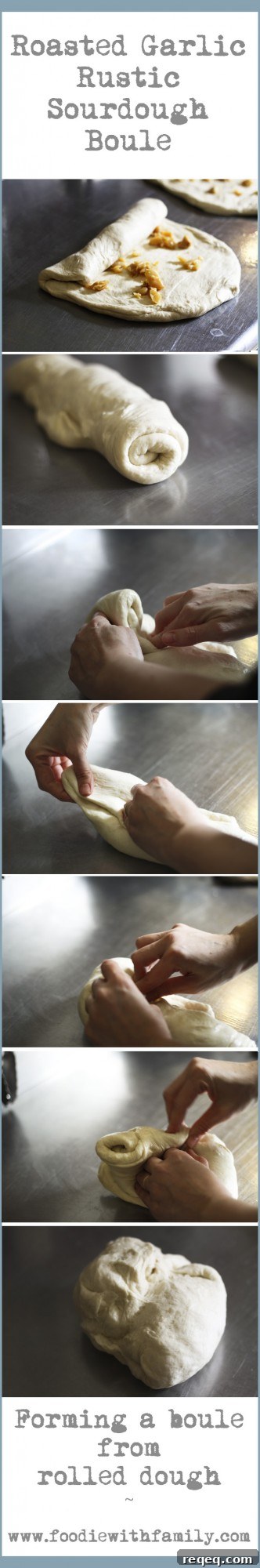 How to form a Roasted Garlic Rustic Sourdough Boule from rolled dough | www.foodiewithfamily.com
