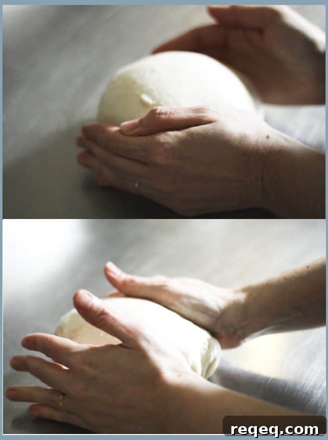Rolling the dough Tightening up the dough for Roasted Garlic Rustic Sourdough Boule by rolling it. | www.foodiewithfamily.com