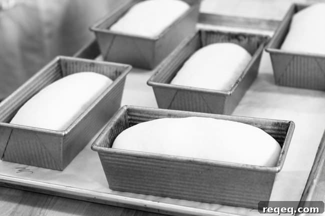 King Arthur Flour: Baking Tips, Recipes & Expert Guides 23 Bread basics at King Arthur Flour | www.foodiewithfamily.com