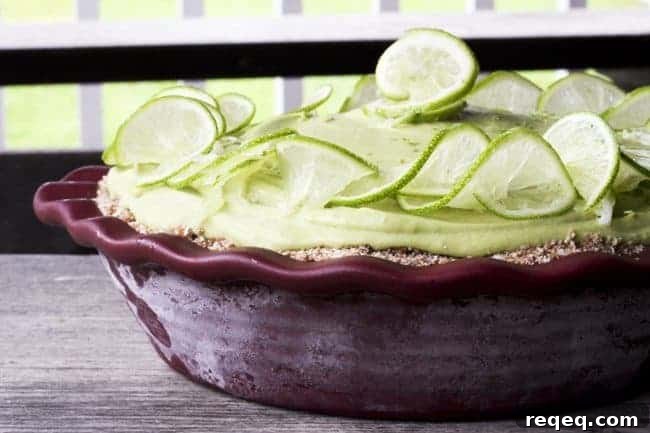 This beautiful, creamy, indulgent, lemon-lime, mile-high, icebox pie just so happens to be good for you. How is that possible? It's also friendly for a wide-range of dietary restrictions because it is gluten-free, dairy-free, grain-free, sugar-free and raw. With one minor adjustment it is also vegan-friendly. Ever so slightly adapted recipe courtesy of my friend Joy Hinterkopf
