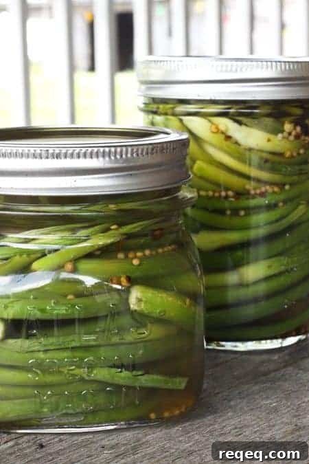 Pickled Garlic Scapes: a 10 minute pickling project