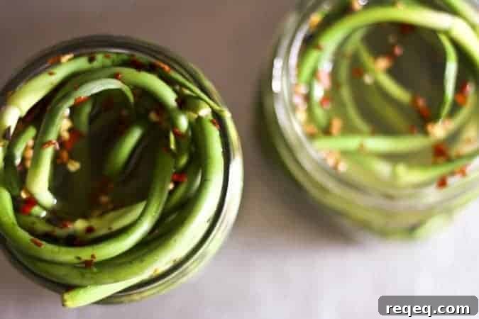 Pickled Garlic Scapes