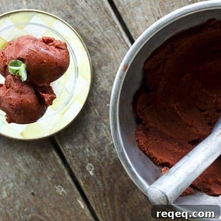 1-Ingredient Cherry Ice Cream + Quick Guide to Freezing Cherries 4 One-Ingredient Cherry Ice Cream | www.foodiewithfamily.com