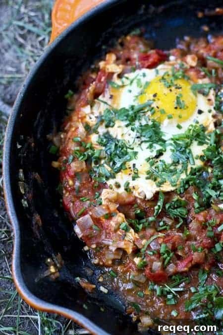 Farmers Market Tomato Sauce with Poached Eggs and Herbs (Shakshuka)