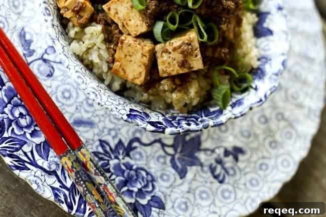 Mapo Tofu (Mapo Dofu): Spicy Sichuan Pork and Tofu Recipe 3 Mapo Dofu {Chinese Spicy Pork with Tofu} | www.foodiewithfamily.com