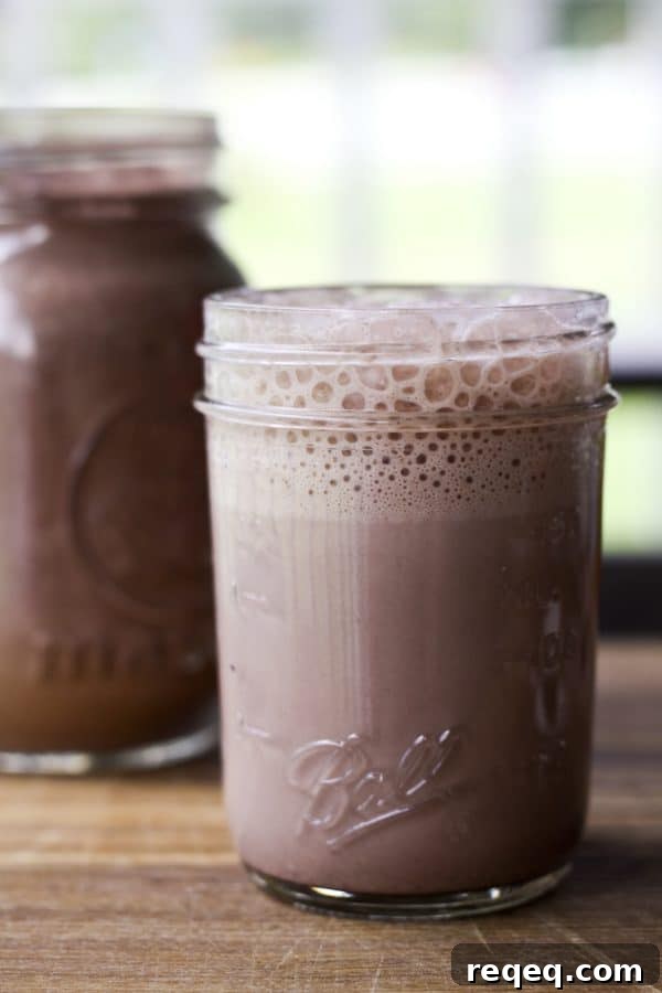 How to Make Homemade Ovaltine: Malted Milk Powder Recipe 2 Homemade Ovaltine Malted Milk Powder in chocolate or plain