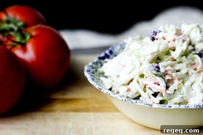 Cranberry Coleslaw Recipe with Lighter Dressing 3 Better For You Cranberry Coleslaw | www.foodiewithfamily.com