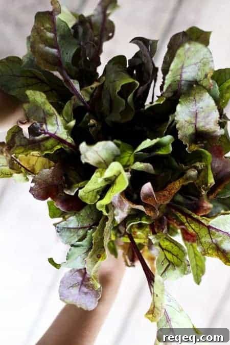 Boost Meals with Dehydrated Vegetables: Make-Ahead Tips for Sneaking Veggies into Recipes 3 Beet Greens to be dehydrated and used to add nutritional value to dishes | www.foodiewithfamily.com
