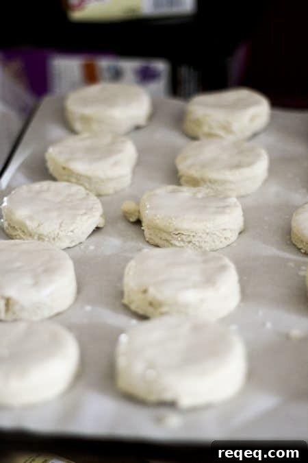 Buttermilk Biscuits: Make, Freeze, and Bake Later for Fresh Results 7 Buttermilk Biscuits ready to bake at www.foodiewithfamily.com
