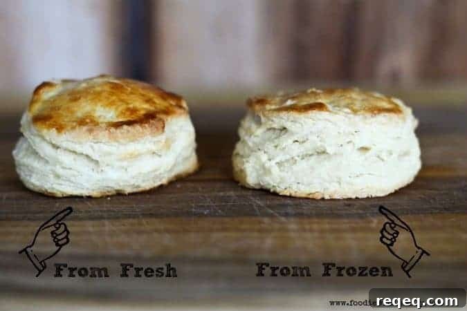 Buttermilk Biscuits: Make, Freeze, and Bake Later for Fresh Results 8 Can you tell which biscuit was frozen before it was baked? www.foodiewithfamily.com