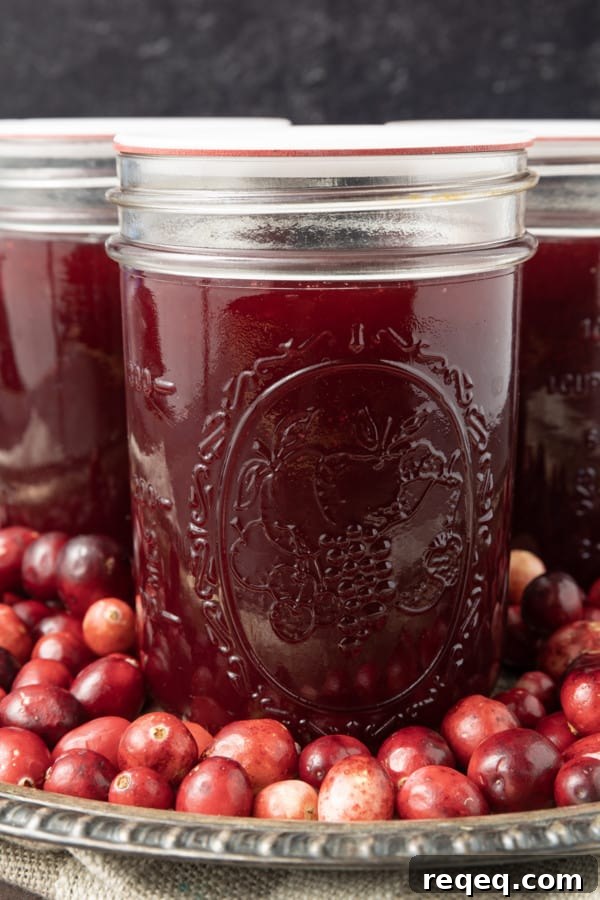 Jellied Cranberry Sauce: Canned vs. Homemade Refrigerator Recipe 3 Delicious, nutritious homemade Jellied Cranberry Sauce with a hint of orange is just what your cranberry sauce lovers want at your Thanksgiving meal this holiday season!
