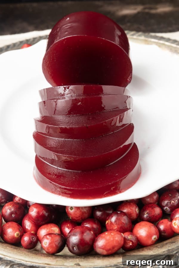Jellied Cranberry Sauce: Canned vs. Homemade Refrigerator Recipe 4 Delicious, nutritious homemade Jellied Cranberry Sauce with a hint of orange is just what your cranberry sauce lovers want at your Thanksgiving meal this holiday season!