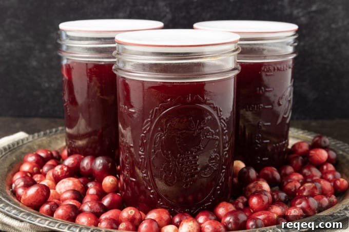 Jellied Cranberry Sauce: Canned vs. Homemade Refrigerator Recipe 5 Delicious, nutritious homemade Jellied Cranberry Sauce with a hint of orange is just what your cranberry sauce lovers want at your Thanksgiving meal this holiday season!
