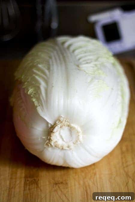 Quick Mak Kimchi Recipe: How to Make Authentic Kimchi Fast 3 Napa Cabbage for mak kimchi at www.foodiewithfamily.com