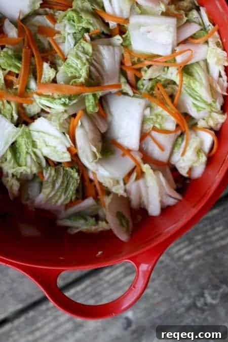 Quick Mak Kimchi Recipe: How to Make Authentic Kimchi Fast 8 Brined vegetables for mak kimchi at www.foodiewithfamily.com