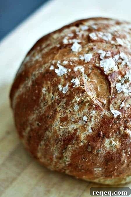 Mini Onion and Dill Sour Cream Bread Bowls (Mini Boule Loaves) 3 Onion, Dill, Sour Cream Bread Bowls or Mini Boule Loaves foodiewithfamily.com #artisanbread #homemadebread