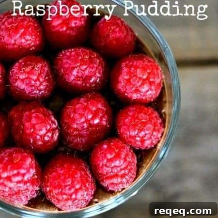3-Minute Chocolate Raspberry Pudding — Vegan, Dairy-Free & Sugar-Free 4 3 Minute Decadent Chocolate Raspberry Pudding {vegan, no added sugar, gluten free} #tofu www.foodiewithfamily.com