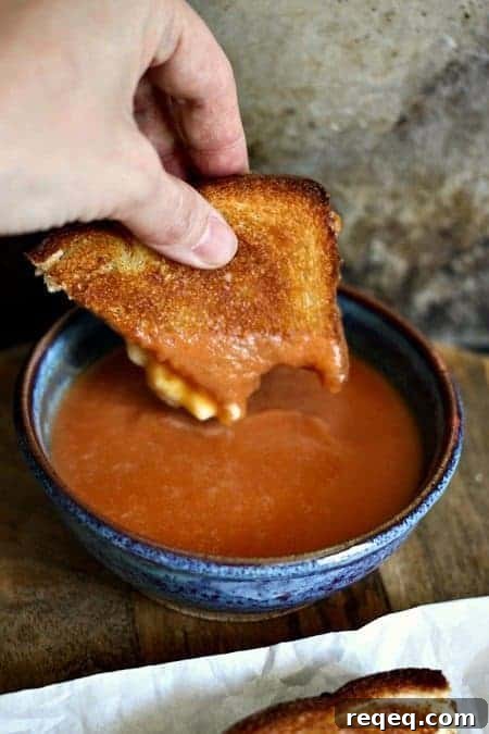 6 Ingredient 6 Minute Tomato Soup {made in a blender} from foodiewithfamily.com