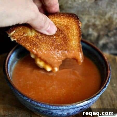 6 Ingredient 6 Minute Tomato Soup {made in a blender} from foodiewithfamily.com