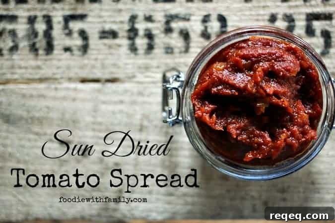 Sun-Dried Tomato Spread Recipe: Flavorful Spread for Sandwiches & Dips 2 Sun Dried Tomato Spread on a sandwich