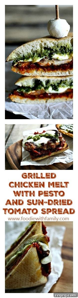 Grilled Chicken Melt with Pesto & Sun‑Dried Tomato Spread 7 Grilled Chicken Melt with Pesto and Sun-Dried Tomato Spread from foodiewithfamily.com