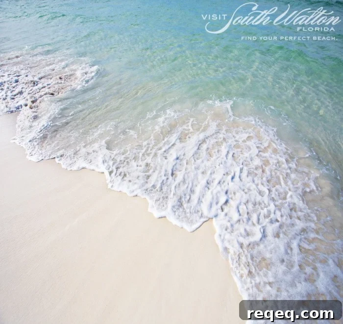 Visit South Walton