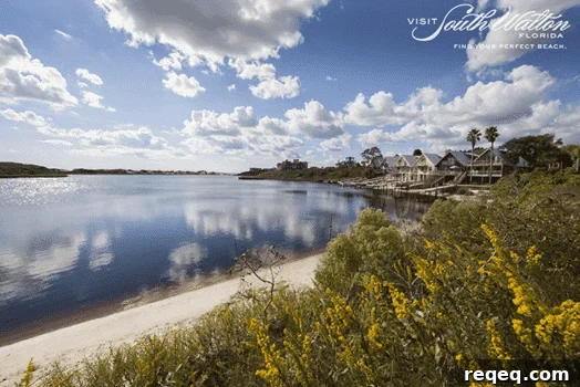 Visit South Walton