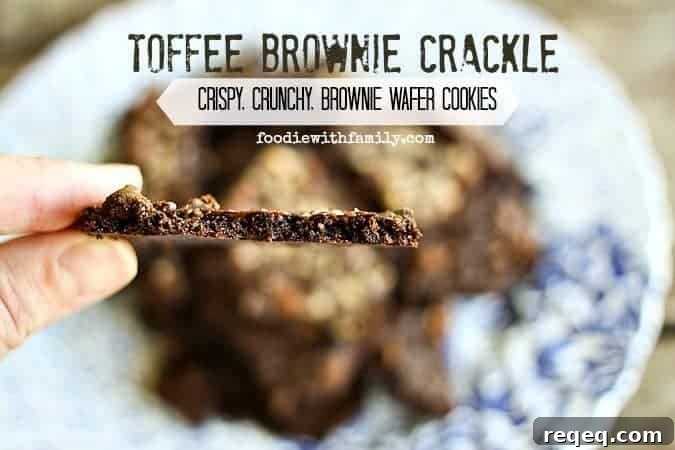 Toffee Brownie Crackle {Crispy, Crunchy, Brownie Wafer Cookies} from foodiewithfamily.com