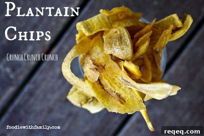 Crispy Plantain Chips Recipe: Homemade Snack Ideas 2 Fried Plantain Chips from Foodiewithfamily.com