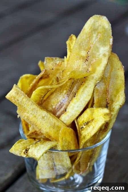 Crispy Plantain Chips Recipe: Homemade Snack Ideas 3 Fried Plantain Chips from Foodiewithfamily.com