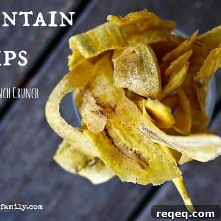 Crispy Plantain Chips Recipe: Homemade Snack Ideas 4 Fried Plantain Chips from Foodiewithfamily.com