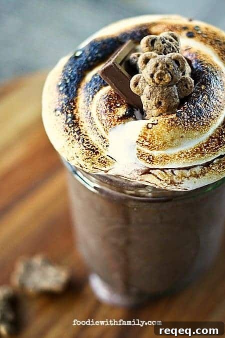 Toasted Marshmallow & Chocolate S’mores Milkshake Recipe 2 Toasted Marshmallow and Chocolate S'mores Milkshake from foodiewithfamily.com