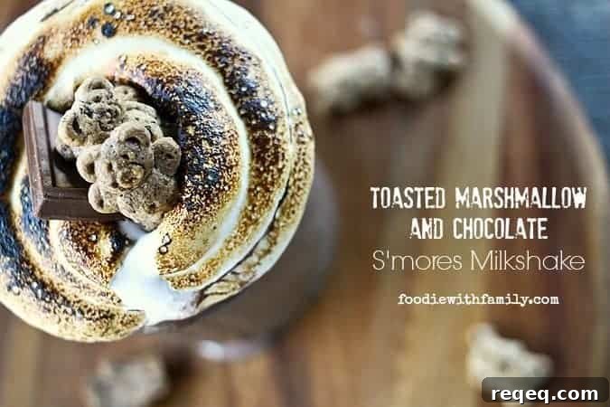 Toasted Marshmallow & Chocolate S’mores Milkshake Recipe 4 Toasted Marshmallow and Chocolate S'mores Milkshake from foodiewithfamily.com