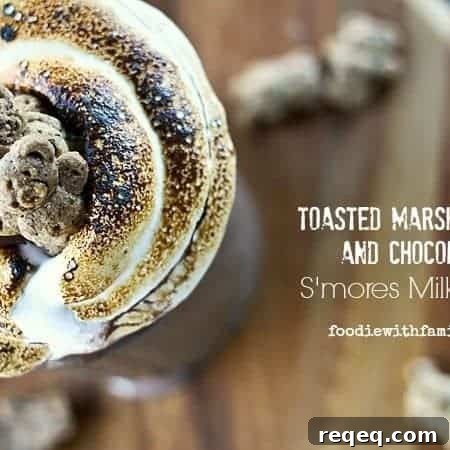 Toasted Marshmallow & Chocolate S’mores Milkshake Recipe 5 Toasted Marshmallow and Chocolate S'mores Milkshake from foodiewithfamily.com