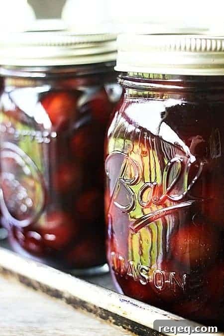 Traditional Russian Pickled Cherries: Authentic Recipe & Tips 2 Russian Pickled Cherries from foodiewithfamily.com